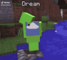 a green minecraft character is standing on a rock next to a body of water .