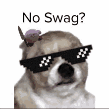 a dog wearing sunglasses and holding a knife with kirby on his head .