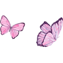 a couple of pink butterflies flying on a white background .