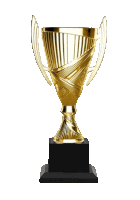 a gold trophy with a black base is sitting on a white background