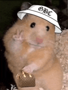 a hamster wearing a hat with gbc on it