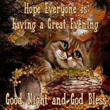 a picture of a cat with the words " hope everyone is having a great evening "