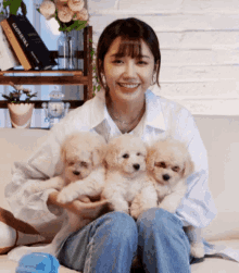 Puppy Puppies GIF