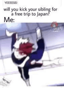 will you kick your sibling for a free trip to japan ? me : yeeess !