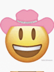 a yellow smiley face wearing a pink cowboy hat .