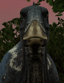 a close up of a dinosaur looking at the camera with trees in the background