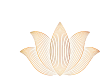 a drawing of a lotus flower with lines on a white background