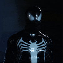 a close up of a black spider man costume