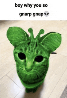 a green cat with a giraffe 's head is sitting on a wooden floor .