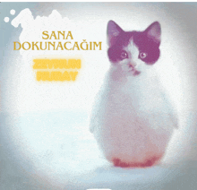 a black and white cat with sana dokunacagim written on the bottom