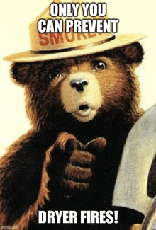 a teddy bear wearing a smokey bear hat is pointing at the camera .