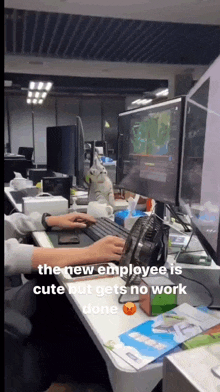 a cat sits on a desk next to a person using a computer with the caption the new employee is cute but gets no work done