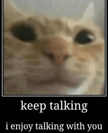 a picture of a cat with the words keep talking i enjoy talking with you on it