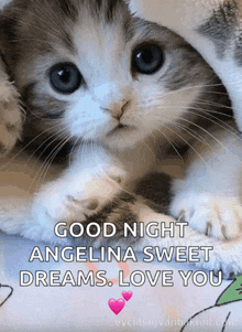 a picture of a kitten with the words good night angelina sweet dreams love you on it