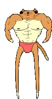 a cartoon drawing of a cat with muscles and a red underwear