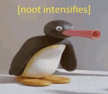 a cartoon penguin with a long red beak and the words noot intensifies