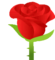 a red rose with green leaves and thorns on a white background