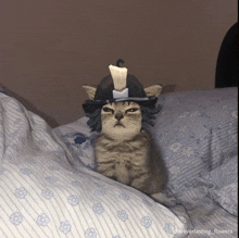 a cat is wearing a hat with a candle on top of it