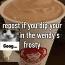 a cup of wendy 's frosty milkshake with a cat in the background .