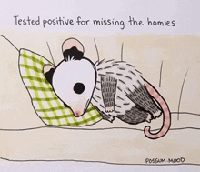 a drawing of an opossum with the words tested positive for missing the homies below it