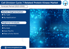 a blue background with the words cell division cycle 7 related protein kinase market