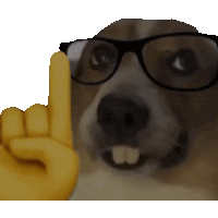 a dog wearing glasses and a yellow hand is pointing upwards