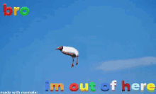 a bird is flying in the sky with the words `` i 'm out of here '' written on the bottom .