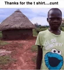 a young boy wearing a cookie monster shirt is standing in front of a hut .