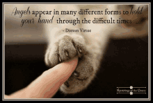 a picture of a cat 's paw with a quote by doreen virtue above it