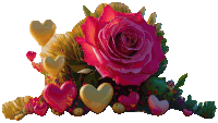 a large pink rose is surrounded by smaller hearts on a white background