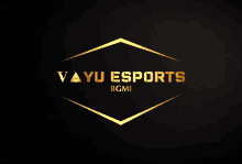 a logo for vayu esports bgmi with a black background