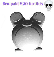 a picture of a skull with the words bro paid $ 20 for this