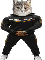 a cat with a hoodie that says hvh legends needness