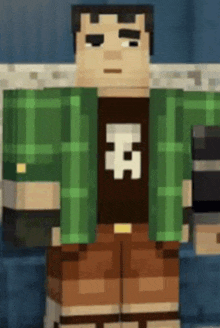 a minecraft character wearing a green plaid shirt and brown shorts is holding a book .