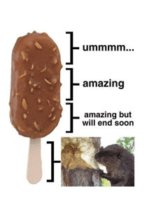 a picture of a beaver eating an ice cream bar with the words " amazing but will end soon " below it