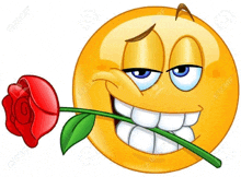 a cartoon smiley face with a red rose in its mouth .