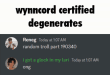 a screenshot of a discord conversation between reneg and wynncord certified