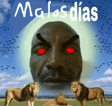 a man with red eyes is surrounded by lions and the words " malos dias " are above him