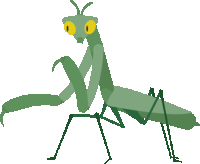 a cartoon drawing of a praying mantis with big yellow eyes