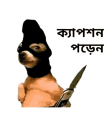 a dog wearing a black mask is holding a knife with a foreign language written below it