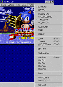 a screenshot of sonic the hedgehog game options menu