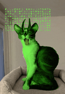 a green cat is sitting in a cat bed with chinese characters behind it