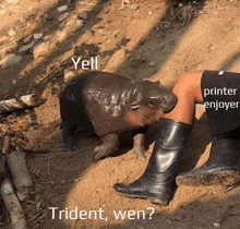 a hippopotamus is standing next to a person 's leg with the caption yell printer enjoyer trident wen