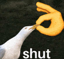 a seagull is being fed by a yellow hand with the word shut written below it