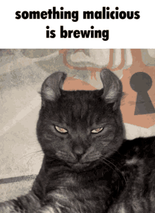 a picture of a cat with horns and the words something malicious is brewing