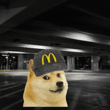 a dog wearing a mcdonald 's hat stands in a parking lot