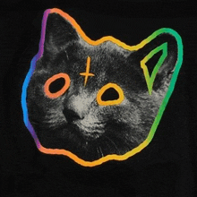 a black cat with a rainbow outline around it 's face