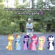 a group of ponies standing next to each other with a caption that says hey dont mess with me