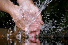 a person is washing their hands with water