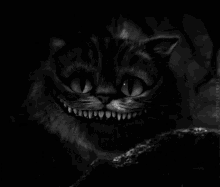 a black and white photo of cheshire cat from alice in wonderland with a large smile on its face